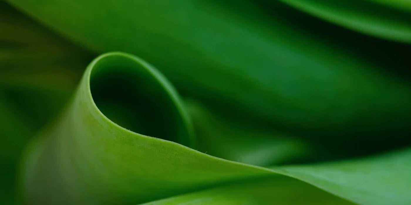 Les textiles écologiques et eco-responsables pour le sport