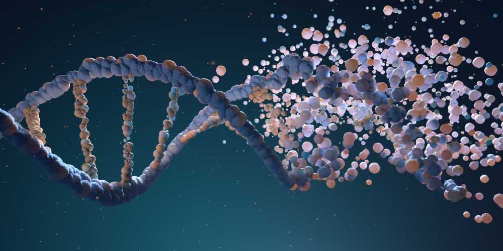 Textiles auto-réparateurs : Vers des vêtements auto-cicatrisants